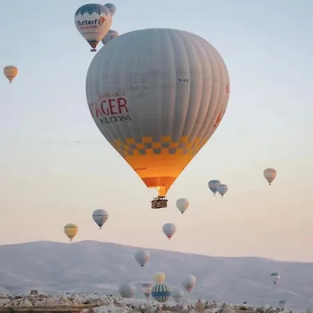 Noah's Ark Cave 호텔